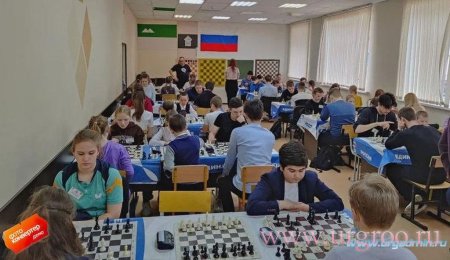 Шахматная лига имени международного мастера Алексея Пугачёва