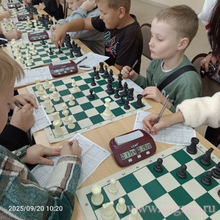       ,      .&#9823;&#9823;&#9823;